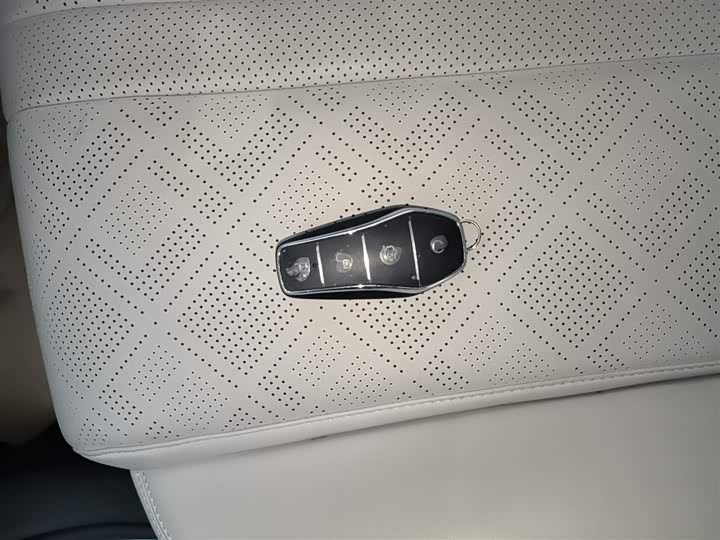 BYD Yuan Up 2025 2025款 智驾版 401KM 领先型