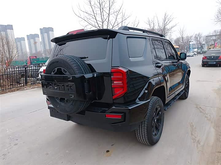 Tank 400 2025 2025款 2.0T 汽油版