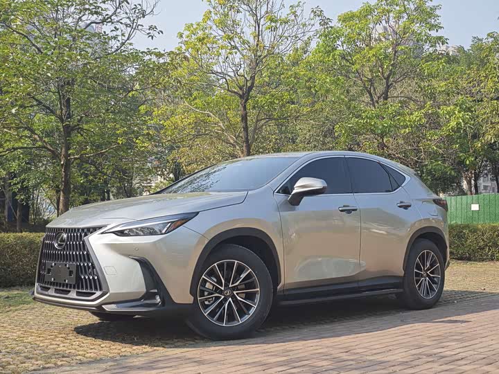 2025 Lexus NX