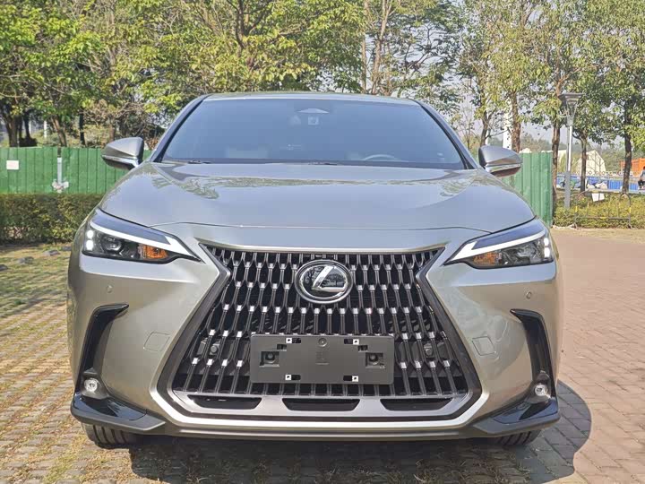 2025 Lexus NX