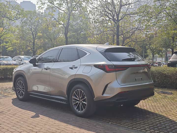 2025 Lexus NX