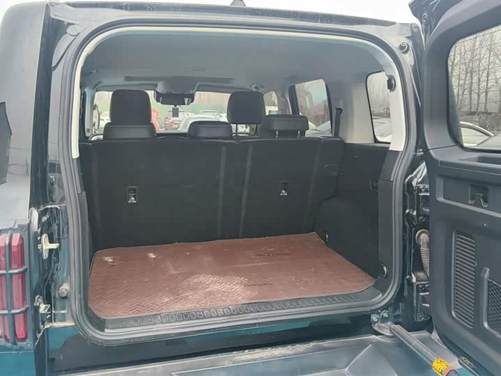 Tank 300 2024 2024款 2.0T 征服者