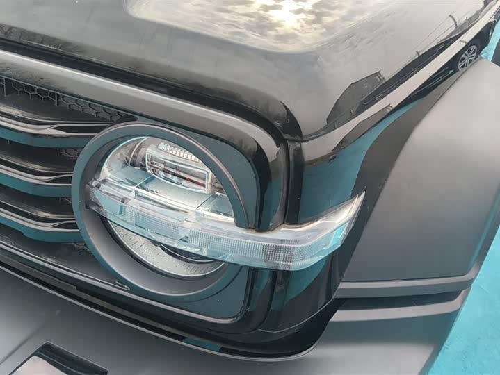 Tank 300 2024 2024款 2.0T 征服者