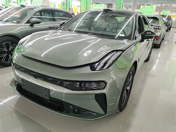 Zeekr 001 2025 2025款 WE版 100kWh 后驱