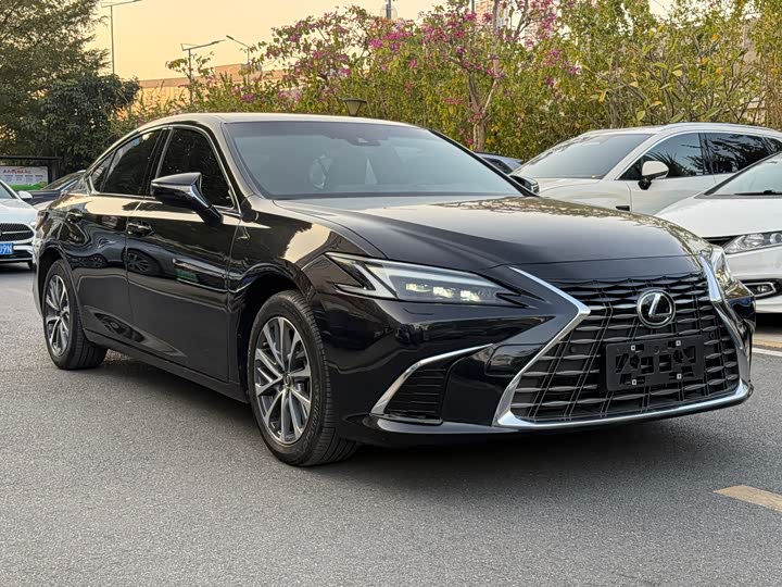 Lexus ES 2025 2025款 300h 臻享版