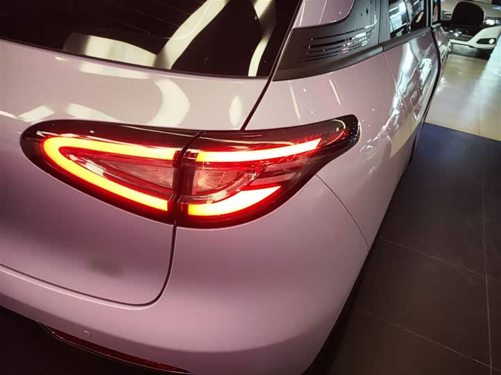 Geely Galaxy Geome 2026 2026款 310km 梦想版