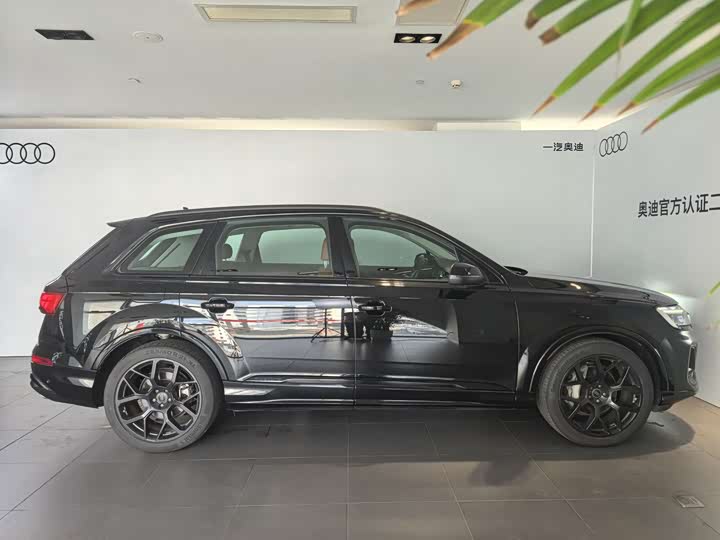 Audi Q7 2024 2024款 45 TFSI quattro S line黑武士型