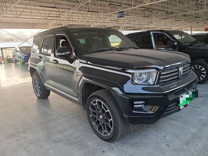 Tank 700 Hybrid 2024 2024款 Hi4-T 极境版