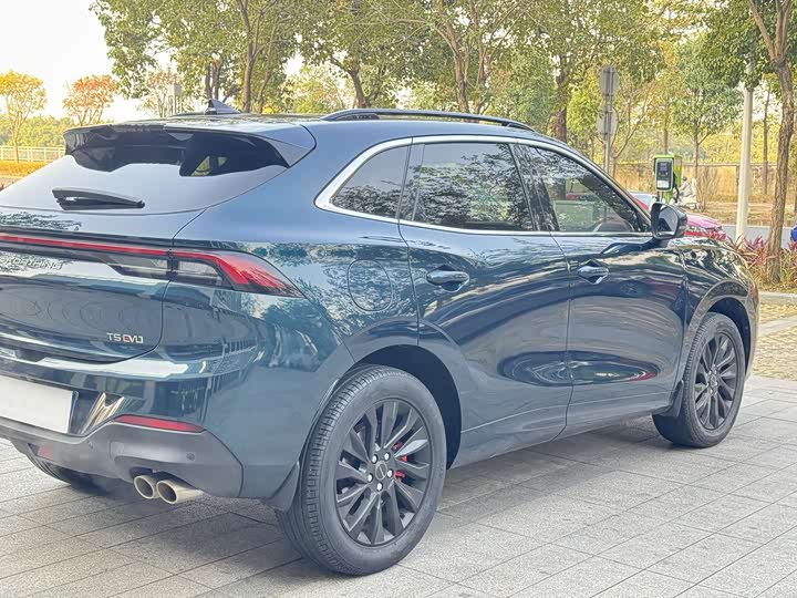 Dongfeng Forthing T5 EVO 2023 2023款 1.5TD DCT星耀版