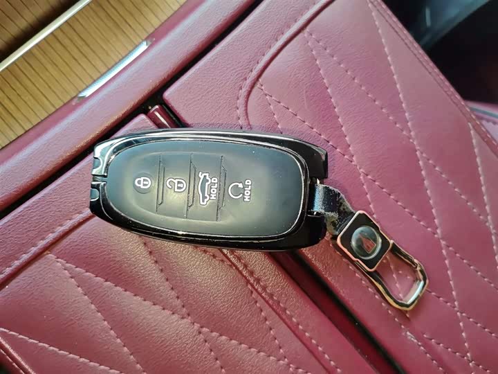 Hongqi E-HS9 2022 2022款 660km 旗畅版 六座