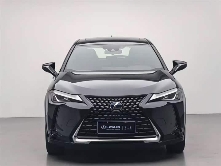 Lexus UX 2020 2020款 260h 探·趣版 国V