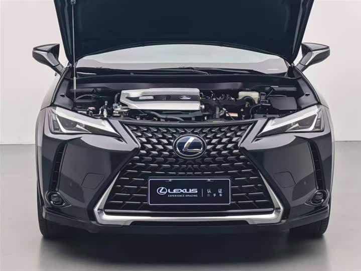 Lexus UX 2020 2020款 260h 探·趣版 国V