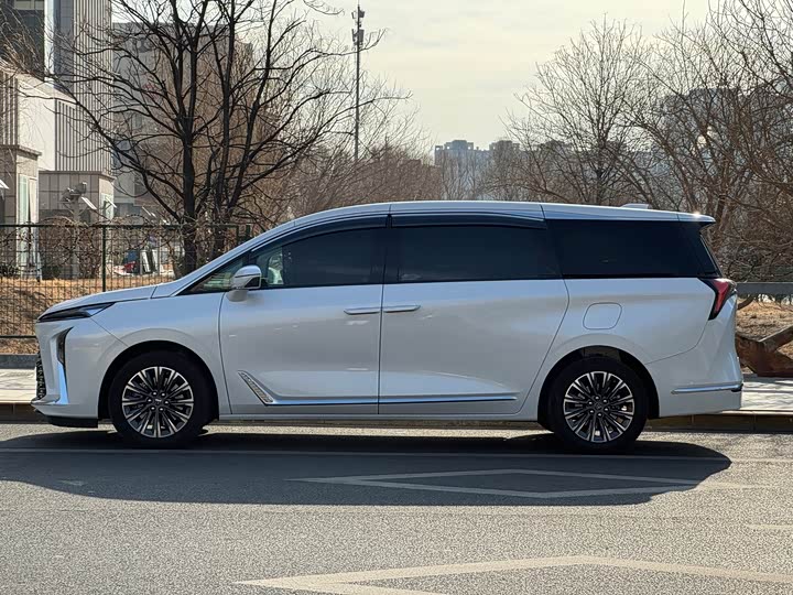 Buick GL8 ES 2025 2025款 陆尊 尊享版