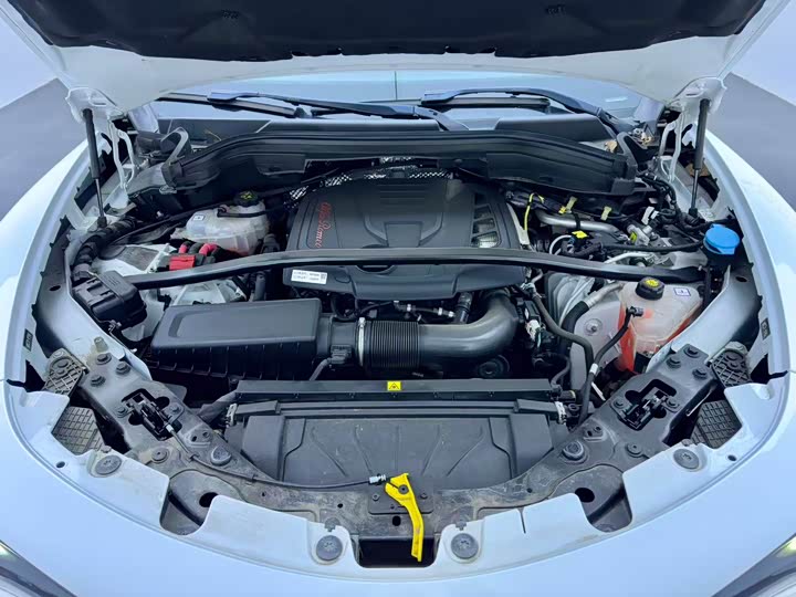 Alfa Romeo Stelvio 2023 2023款 2.0T 280HP Veloce赛道版