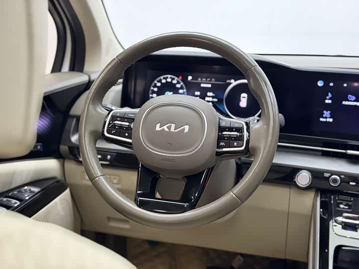 Kia Carnival 2021 2021款 2.0T 旗舰版