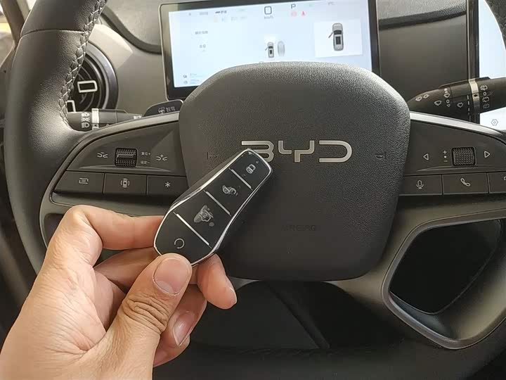 BYD Sea Lion 05 DM-i Hybrid 2025 2025款 DM-i 智驾版 115KM旗舰型