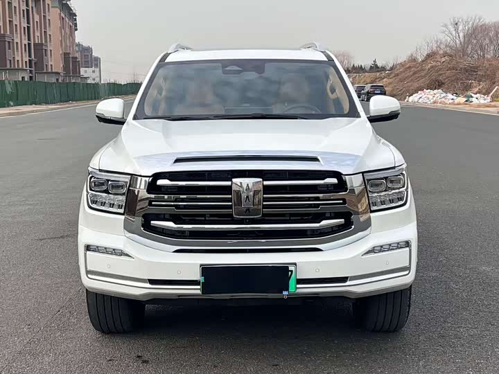 Tank 500 Hybrid 2024 2024款 Hi4-T