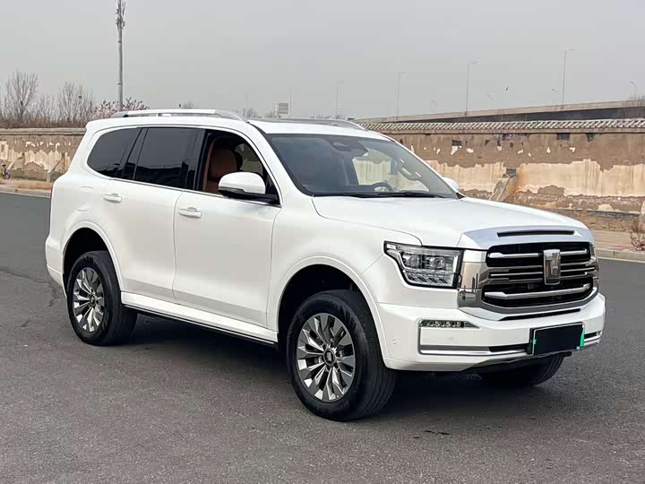 Tank 500 Hybrid 2024 2024款 Hi4-T