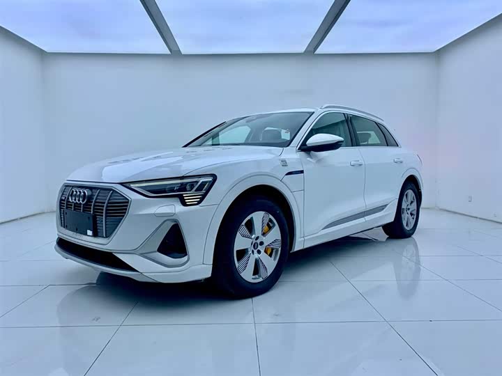 Audi e-tron 2021 2021款 50 quattro 豪华型