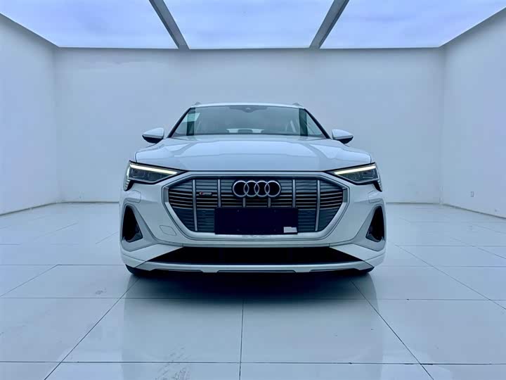 Audi e-tron 2021 2021款 50 quattro 豪华型