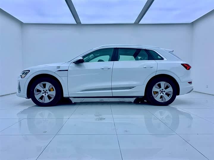 Audi e-tron 2021 2021款 50 quattro 豪华型