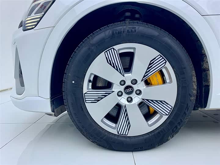 Audi e-tron 2021 2021款 50 quattro 豪华型