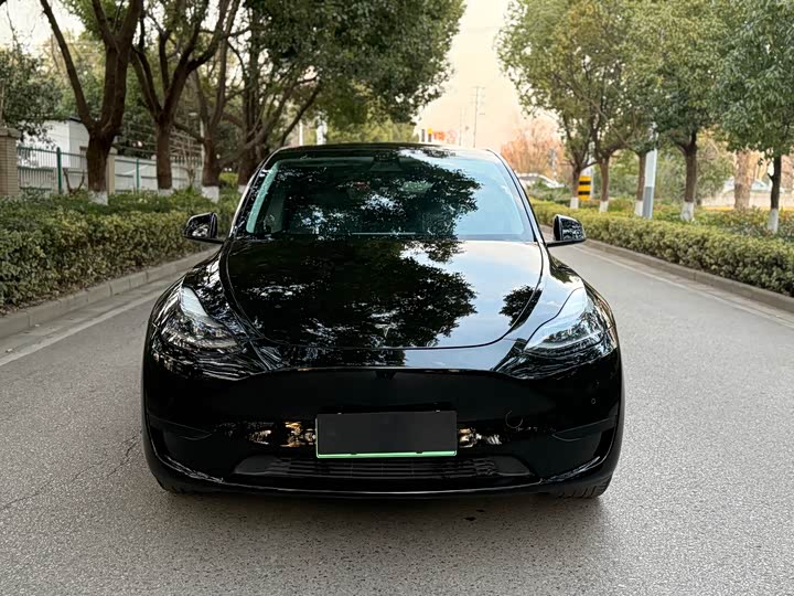 Tesla Model Y 2024 2024款 后轮驱动版