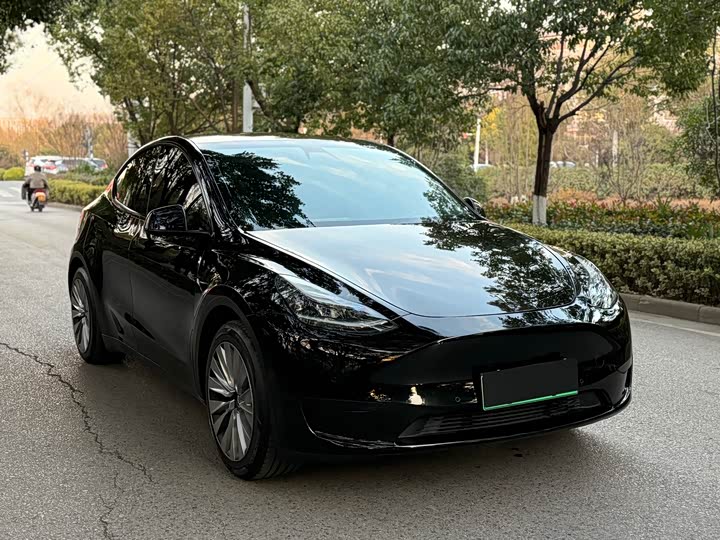 Tesla Model Y 2024 2024款 后轮驱动版