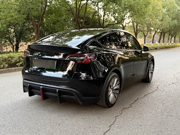 Tesla Model Y 2024 2024款 后轮驱动版