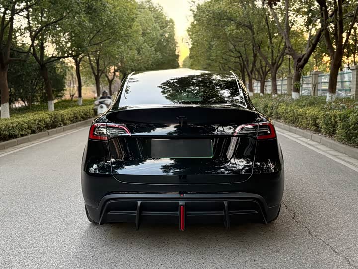 Tesla Model Y 2024 2024款 后轮驱动版