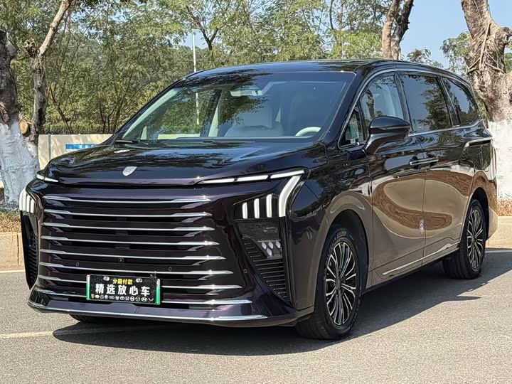 Dongfeng Forthing Xinghai V9 2024 2024款 1.5TD 200km 青云梯系列 尊贵型