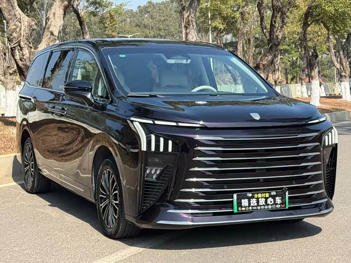 Dongfeng Forthing Xinghai V9 2024 2024款 1.5TD 200km 青云梯系列 尊贵型