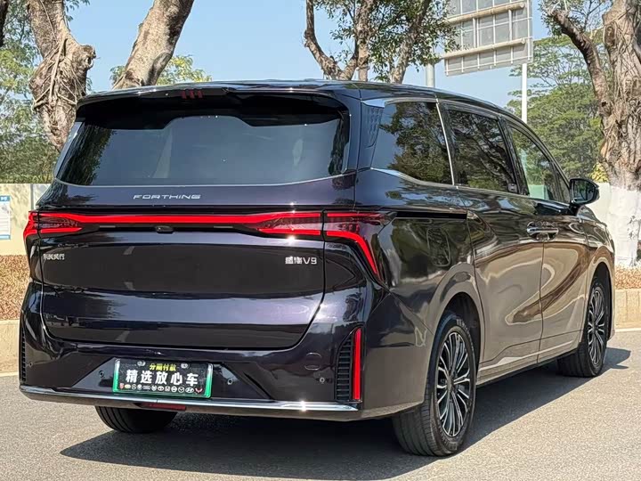 Dongfeng Forthing Xinghai V9 2024 2024款 1.5TD 200km 青云梯系列 尊贵型