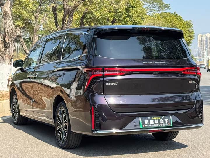 Dongfeng Forthing Xinghai V9 2024 2024款 1.5TD 200km 青云梯系列 尊贵型