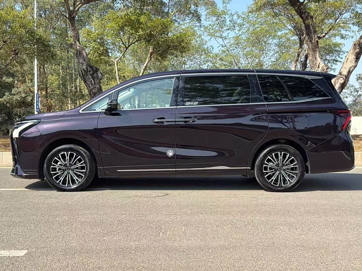 Dongfeng Forthing Xinghai V9 2024 2024款 1.5TD 200km 青云梯系列 尊贵型