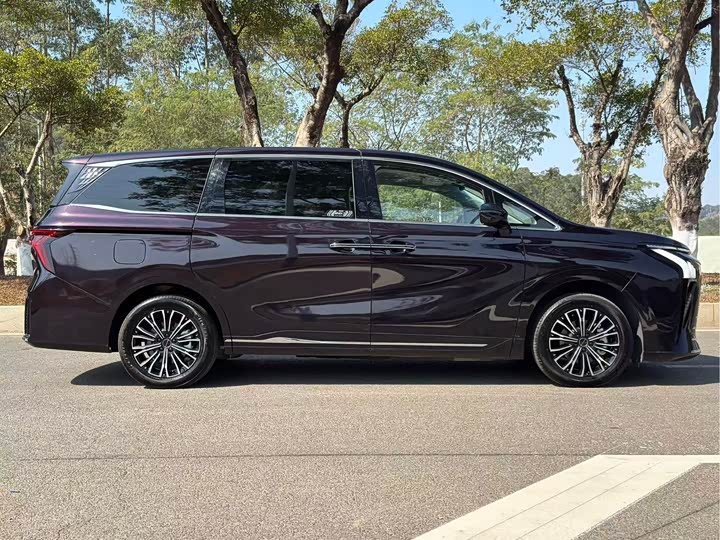 Dongfeng Forthing Xinghai V9 2024 2024款 1.5TD 200km 青云梯系列 尊贵型