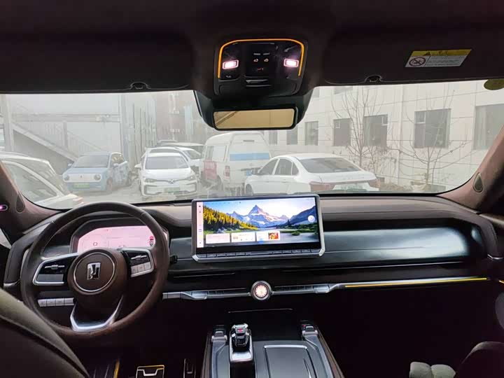 Tank 700 Hybrid 2024 2024款 Hi4-T 极境版