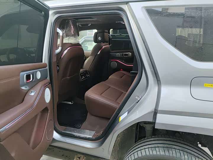 Tank 700 Hybrid 2024 2024款 Hi4-T 极境版