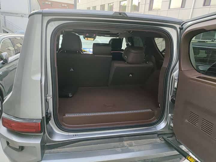 Tank 700 Hybrid 2024 2024款 Hi4-T 极境版