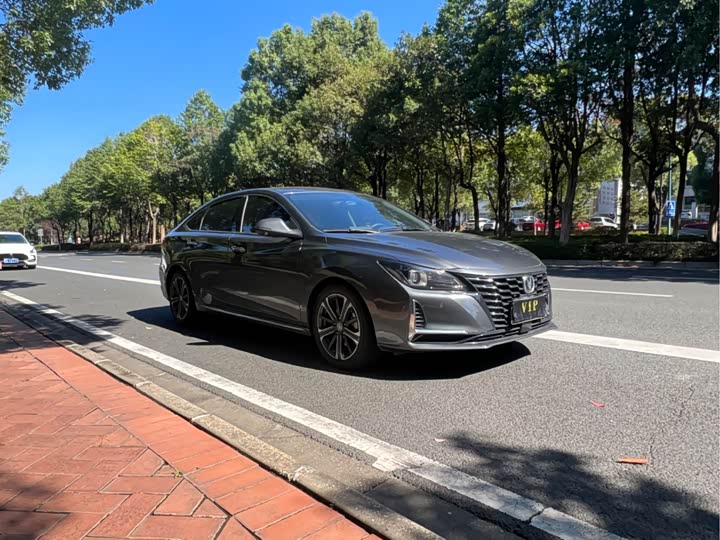 Changan Raeton CC 2021 2021款 蓝鲸版 1.5T DCT精英型