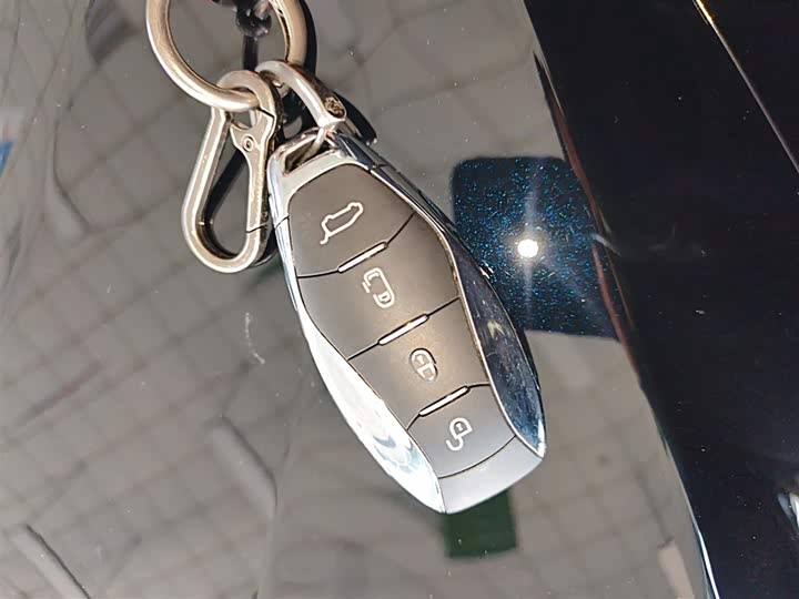 Hongqi HQ9 2023 2023款 2.0T 智联旗畅版