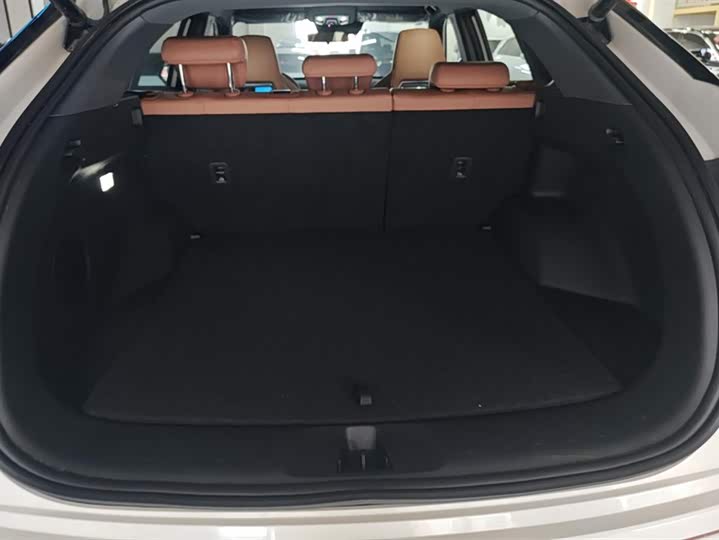 Changan UNI-Z Hybrid 2024 2024款 蓝鲸智电iDD 125km 卓越型