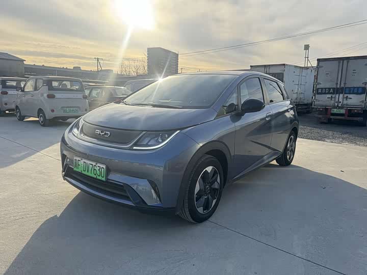 BYD Dolphin 2025 2025款 420km 时尚版