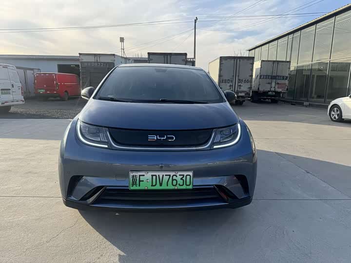 BYD Dolphin 2025 2025款 420km 时尚版