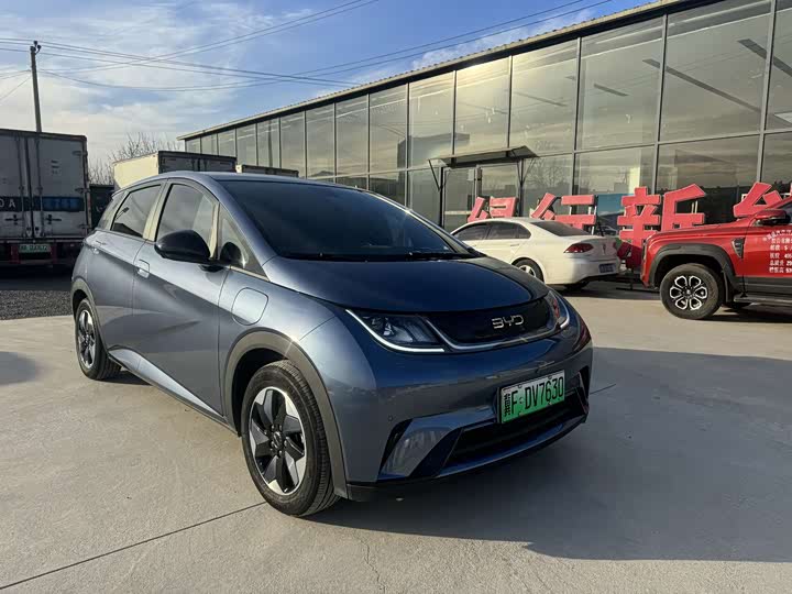 BYD Dolphin 2025 2025款 420km 时尚版