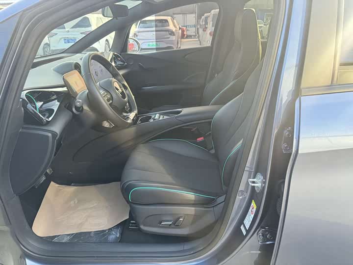 BYD Dolphin 2025 2025款 420km 时尚版