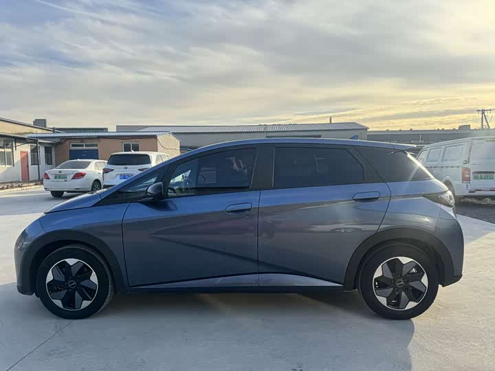 BYD Dolphin 2025 2025款 420km 时尚版