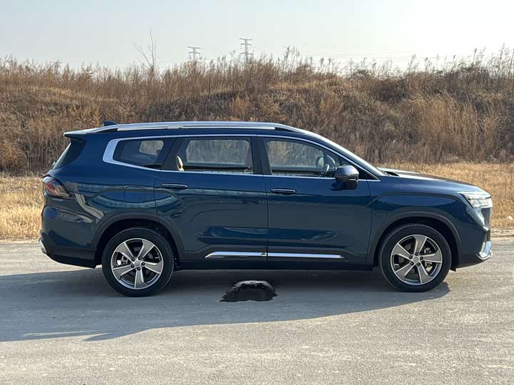 Geely Okavango L 2024 2024款 2.0T DCT旗舰型