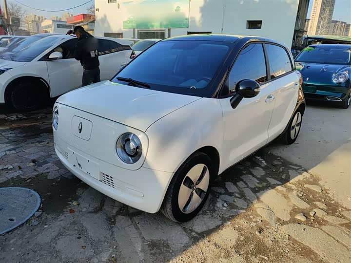 Ora Black Cat 2022 2022款 改款 301km 萌宠版 磷酸铁锂