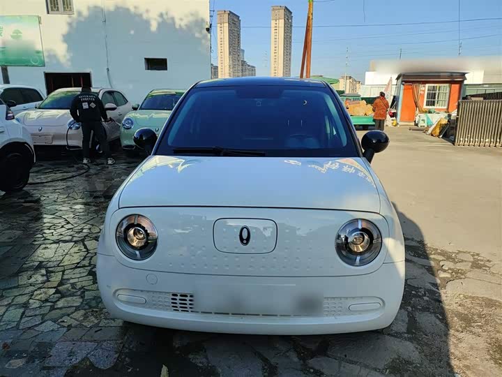 Ora Black Cat 2022 2022款 改款 301km 萌宠版 磷酸铁锂